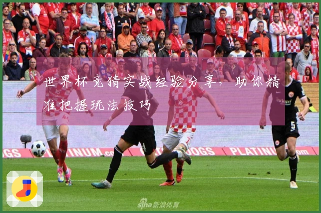 世界杯竞猜实战经验分享,助你精准把握玩法技巧