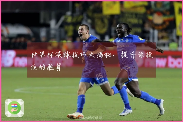 世界杯滚球技巧大揭秘，提升你投注的胜算