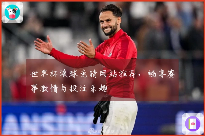 世界杯滚球竞猜网站推荐，畅享赛事激情与投注乐趣