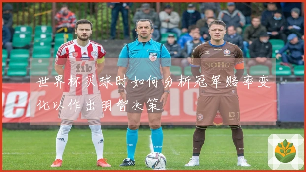 世界杯买球时如何分析冠军赔率变化以作出明智决策