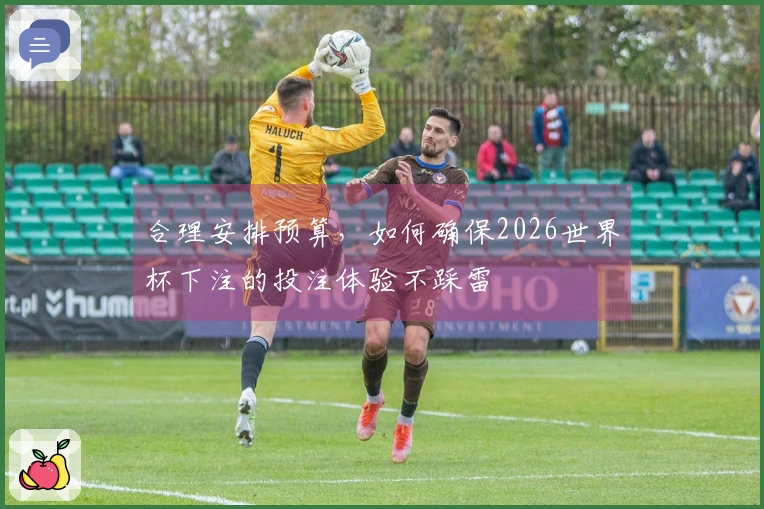 合理安排预算，如何确保2026世界杯下注的投注体验不踩雷