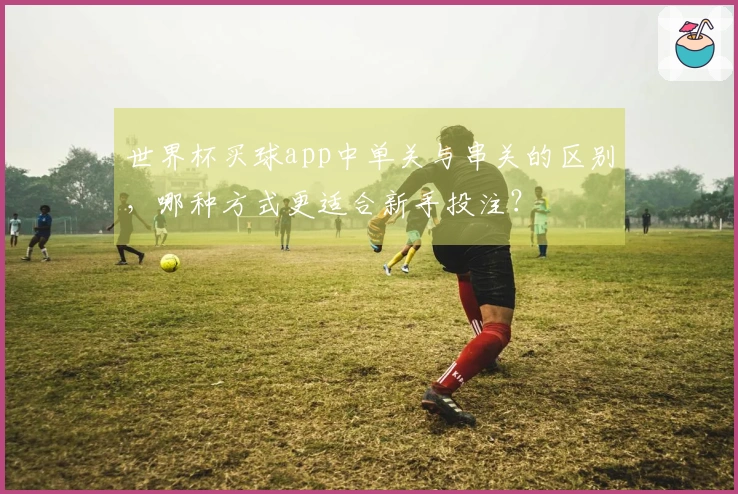 世界杯买球app中单关与串关的区别，哪种方式更适合新手投注？