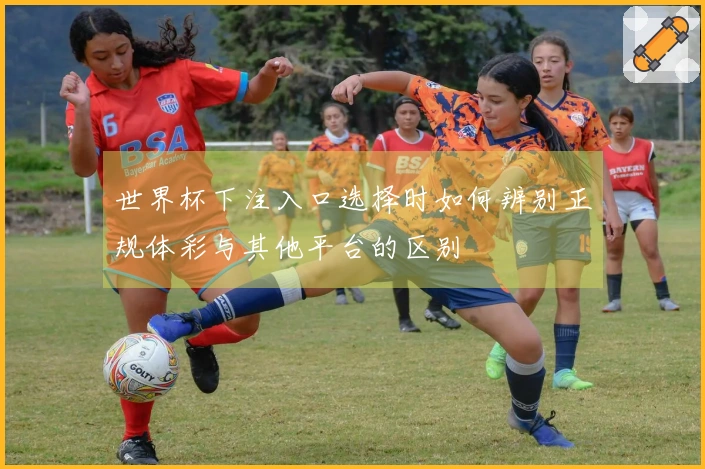 世界杯下注入口选择时如何辨别正规体彩与其他平台的区别