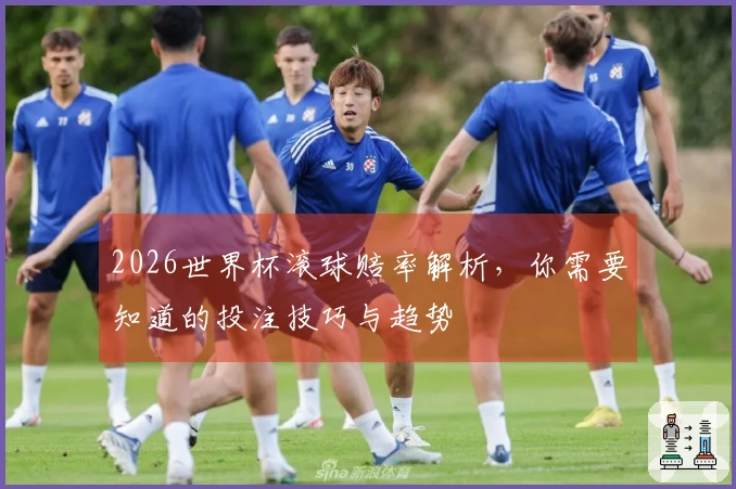 2026世界杯滚球赔率解析，你需要知道的投注技巧与趋势