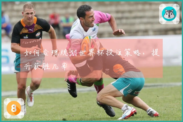 如何合理规划世界杯投注策略，提升获胜几率