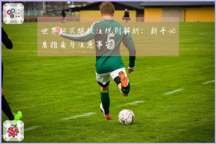 世界杯买球投注规则解析：新手必看指南与注意事项