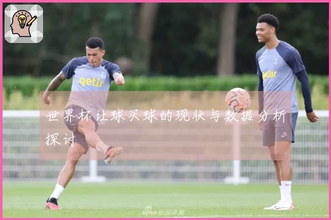 世界杯让球买球的现状与数据分析探讨