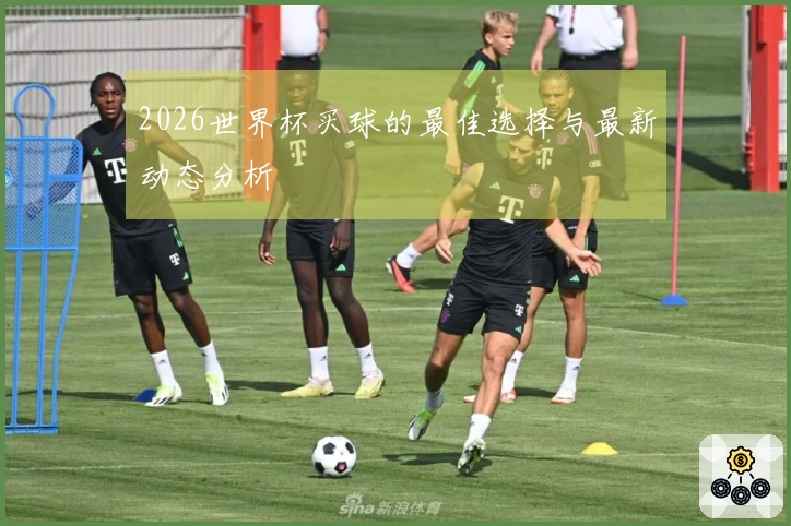 2026世界杯买球的最佳选择与最新动态分析