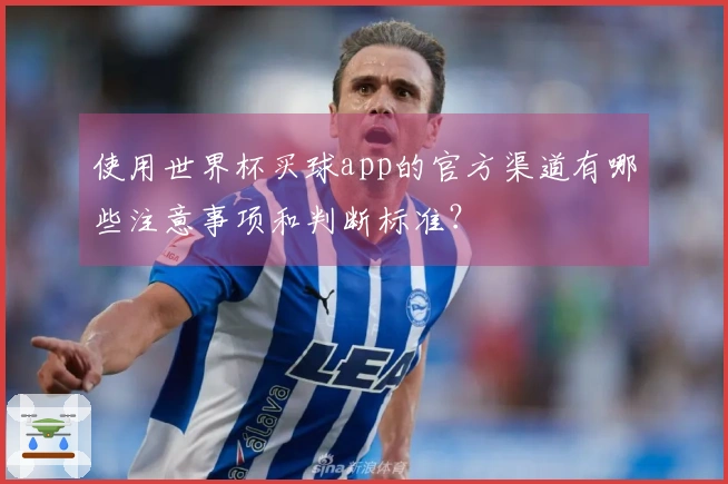 使用世界杯买球app的官方渠道有哪些注意事项和判断标准?