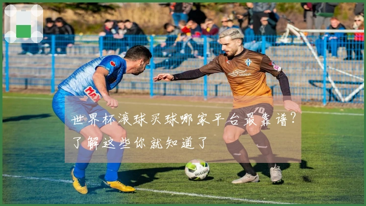 世界杯滚球买球哪家平台最靠谱？了解这些你就知道了