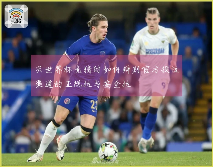 买世界杯竞猜时如何辨别官方投注渠道的正规性与安全性