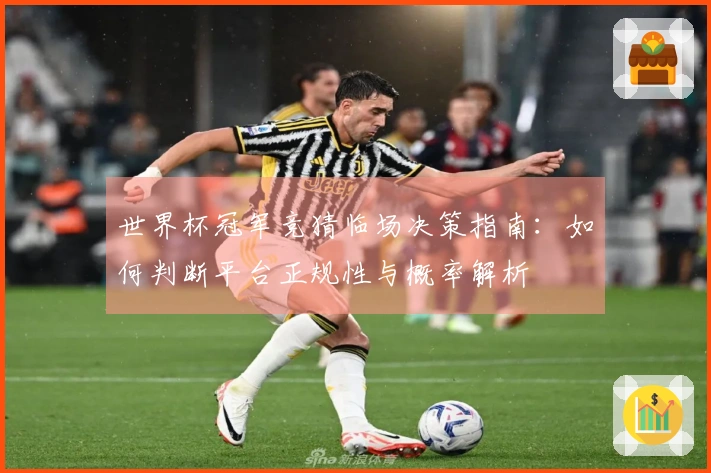 世界杯冠军竞猜临场决策指南：如何判断平台正规性与概率解析