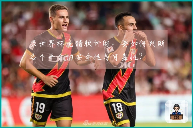 买世界杯竞猜软件时，要如何判断各个平台的安全性与可靠性？