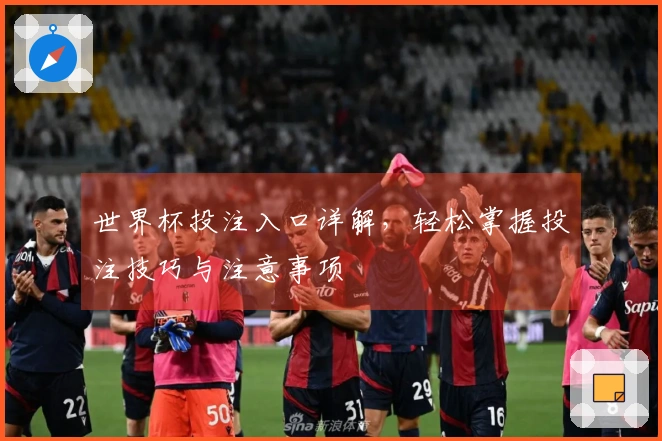 世界杯投注入口详解，轻松掌握投注技巧与注意事项
