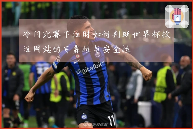 冷门比赛下注时如何判断世界杯投注网站的可靠性与安全性