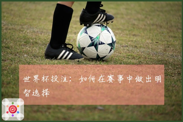 世界杯投注：如何在赛事中做出明智选择