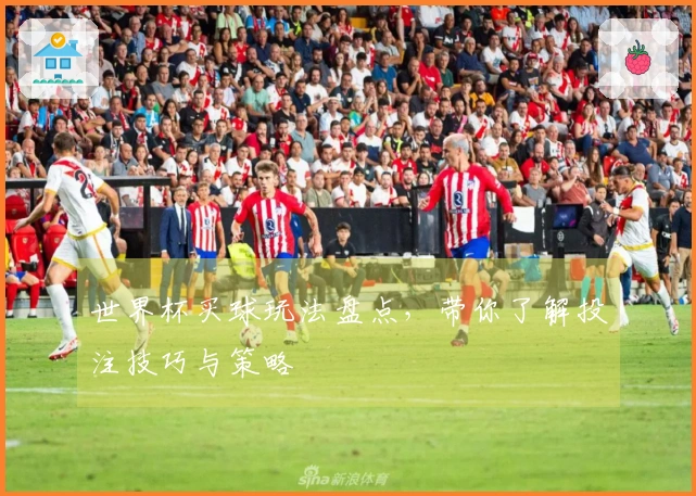 世界杯买球玩法盘点，带你了解投注技巧与策略