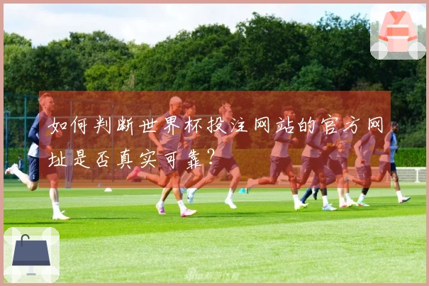 如何判断世界杯投注网站的官方网址是否真实可靠？