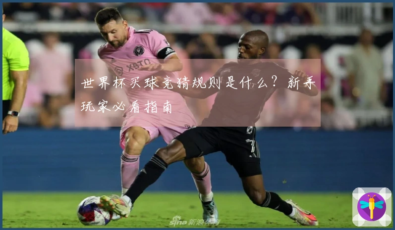 世界杯买球竞猜规则是什么？新手玩家必看指南