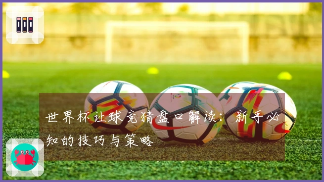 世界杯让球竞猜盘口解读：新手必知的技巧与策略