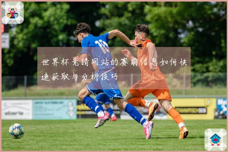 世界杯竞猜网站的赛前信息如何快速获取与分析技巧
