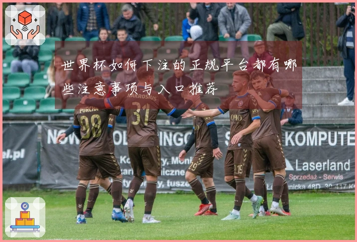 世界杯如何下注的正规平台都有哪些注意事项与入口推荐