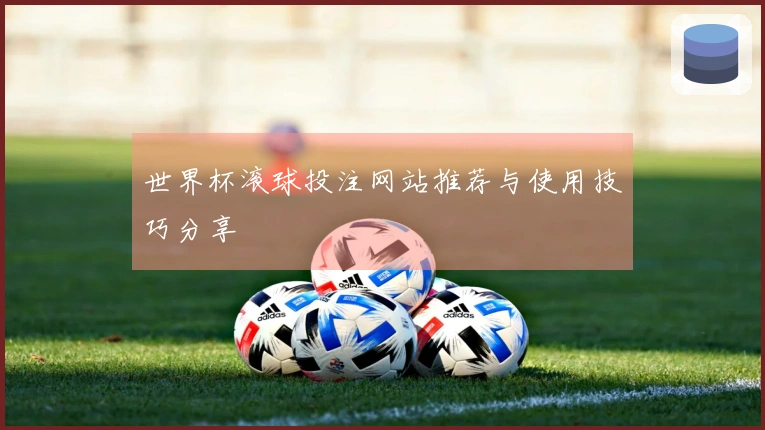 世界杯滚球投注网站推荐与使用技巧分享