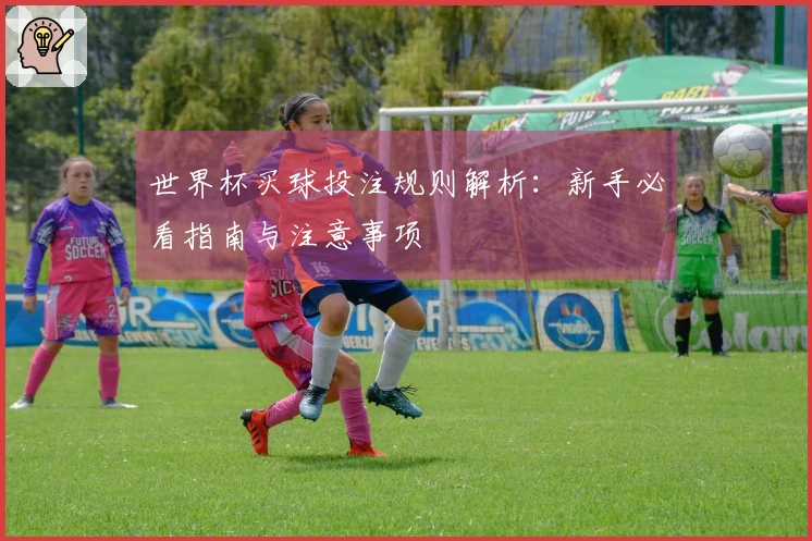 世界杯买球投注规则解析：新手必看指南与注意事项