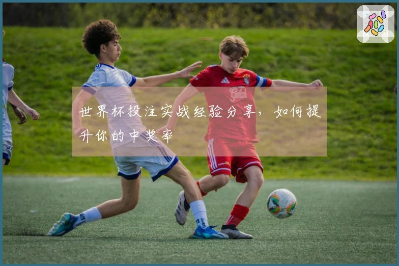 世界杯投注实战经验分享，如何提升你的中奖率