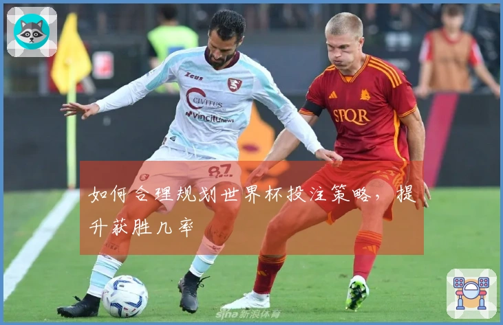 如何合理规划世界杯投注策略，提升获胜几率