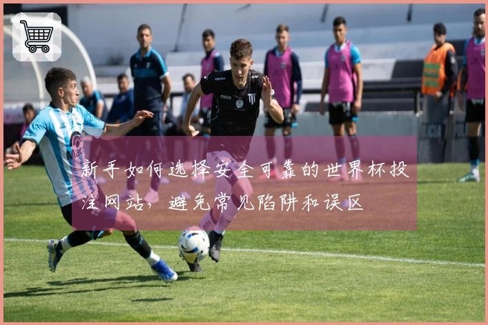新手如何选择安全可靠的世界杯投注网站，避免常见陷阱和误区