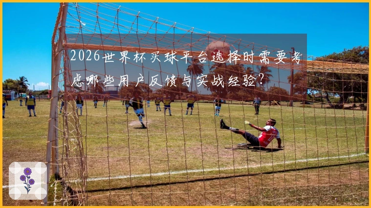 2026世界杯买球平台选择时需要考虑哪些用户反馈与实战经验？