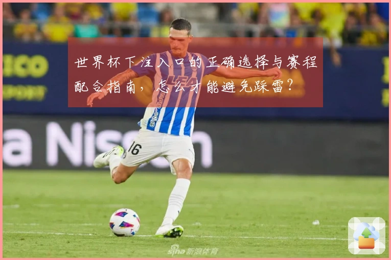 世界杯下注入口的正确选择与赛程配合指南，怎么才能避免踩雷？