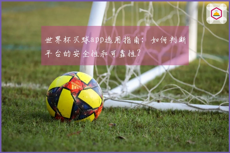世界杯买球app选用指南：如何判断平台的安全性和可靠性？
