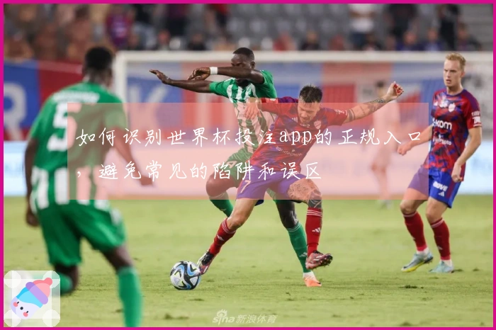 如何识别世界杯投注app的正规入口，避免常见的陷阱和误区