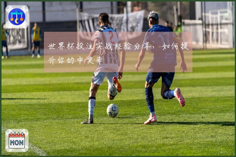 世界杯投注实战经验分享,如何提升你的中奖率