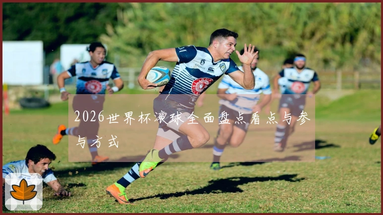 2026世界杯滚球全面盘点看点与参与方式